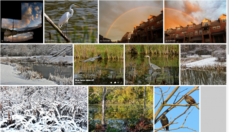 Screen Shot 2014-11-03 at 8.43.03 AM